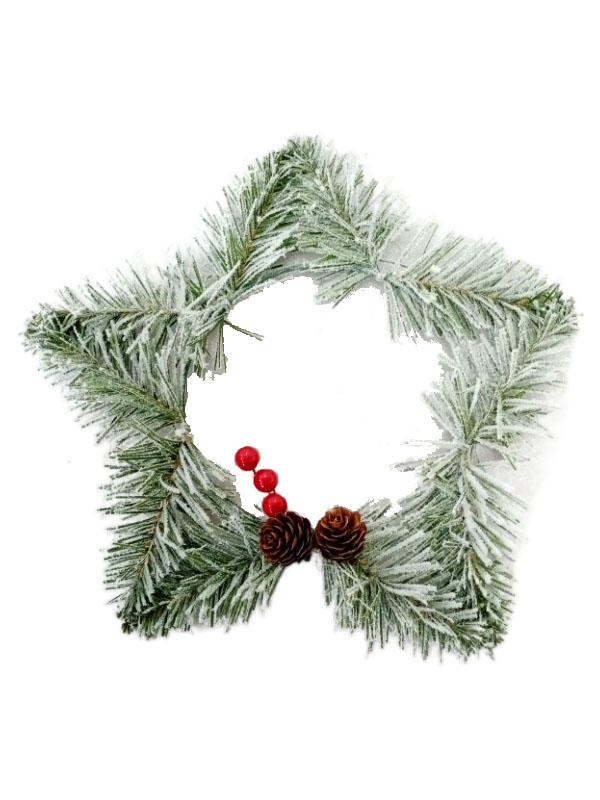 Other Special Star Christmas Decorations-203001