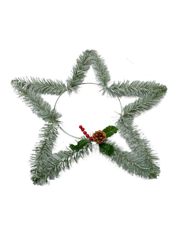 Other Special Star Christmas Decorations-206001