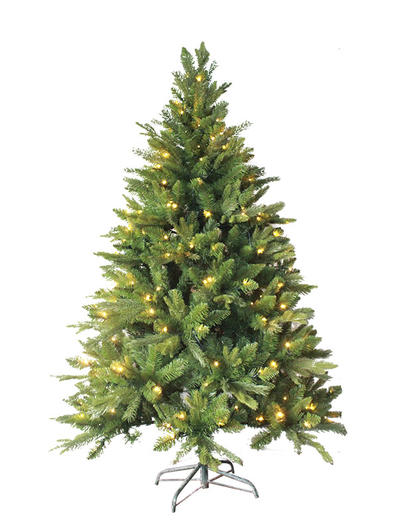 Christmas Tree-PE180085