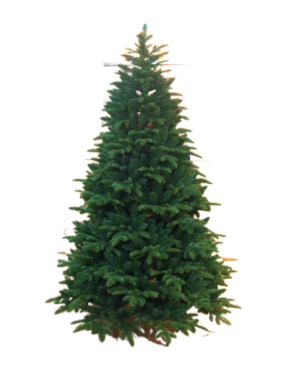 Large Christmas Tree