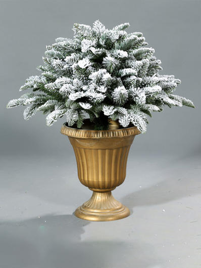 Potted Christmas Tree 9A3A8779